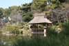 日本庭園, 縮景園, 広島 - 高解像度・大きいサイズのイメージをダウンロードするためにはクリックして下さい。