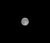 Луна, черный, Серый - Please click to download the original image file.