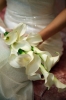 花嫁, 結婚式, オランダカイウ - 高解像度・大きいサイズのイメージをダウンロードするためにはクリックして下さい。