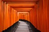 日本の寺院, 京都, Fushimiinari神社 - 高解像度・大きいサイズのイメージをダウンロードするためにはクリックして下さい。