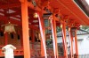 japanischer Tempel, Kyoto, Fushimiinari Jinjya - Please click to download the original image file.